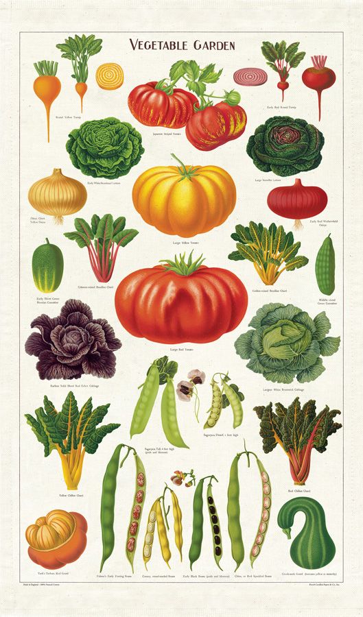 Vegetable Garden Kitchen Towel – UC Botanical Garden at Berkeley