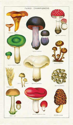 Mushrooms Kitchen Towel