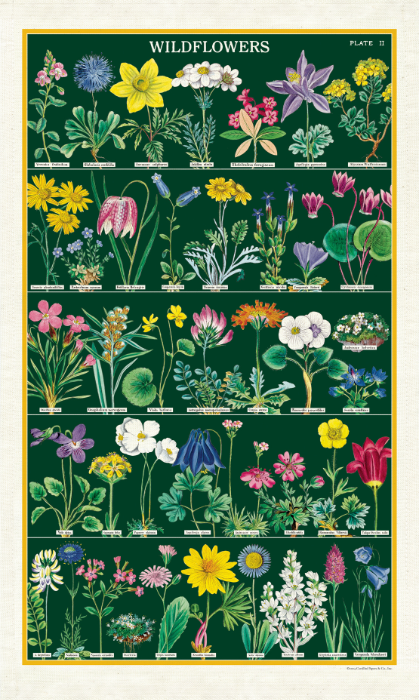 Wildflowers 2 Kitchen Towel
