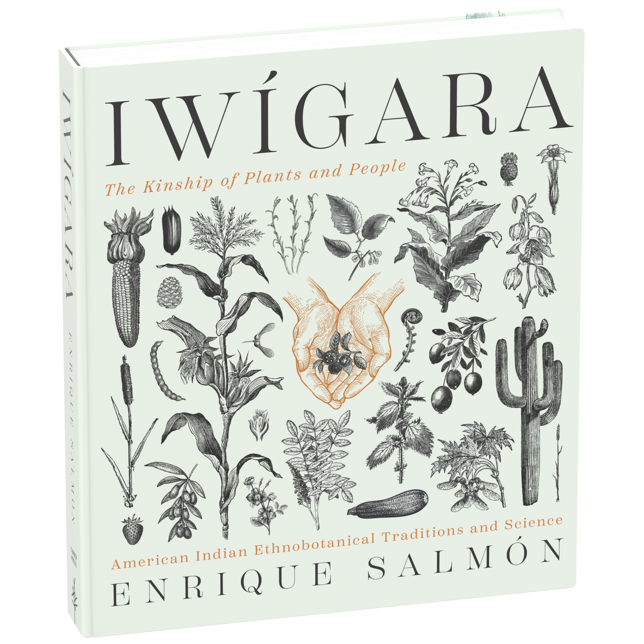 Iwigara - Book Cover