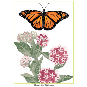 Greeting Cards from Rigel Stuhmiller