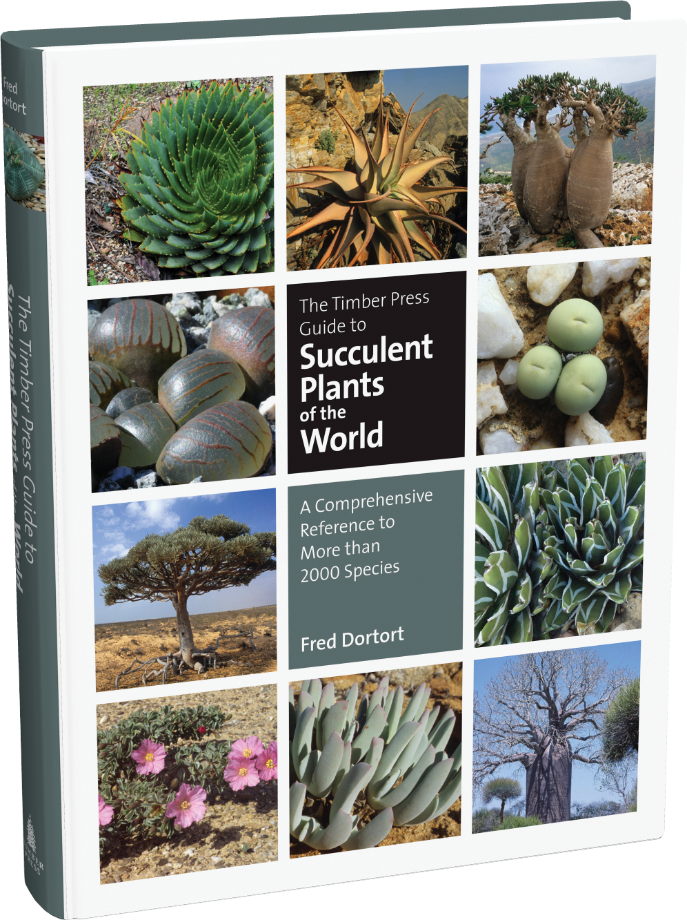 Succulent Plants of the World