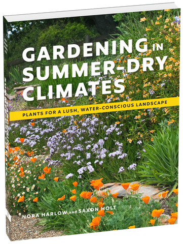 Gardening in Summer-Dry Climates: Plants for a Lush, Water-Conscious Landscape