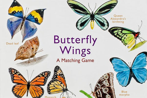 Butterfly Wings Matching Game