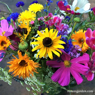 Early Blooming Beekeepers Mix Garden Seeds