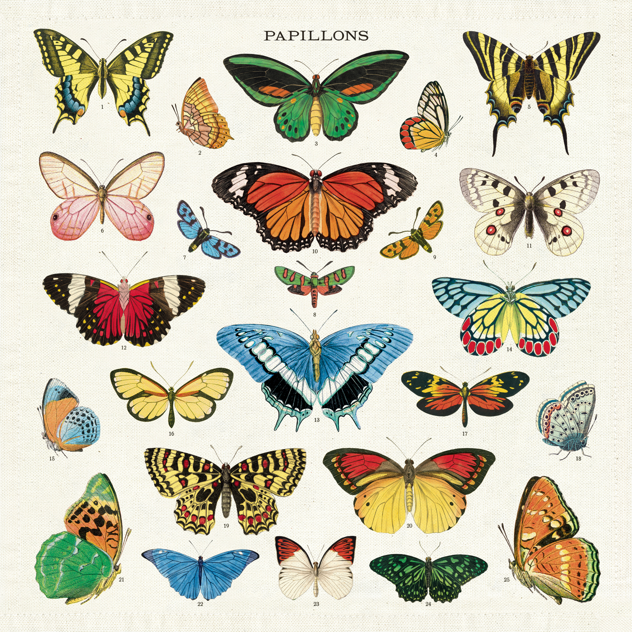 Butterfly Napkins - Set of 4