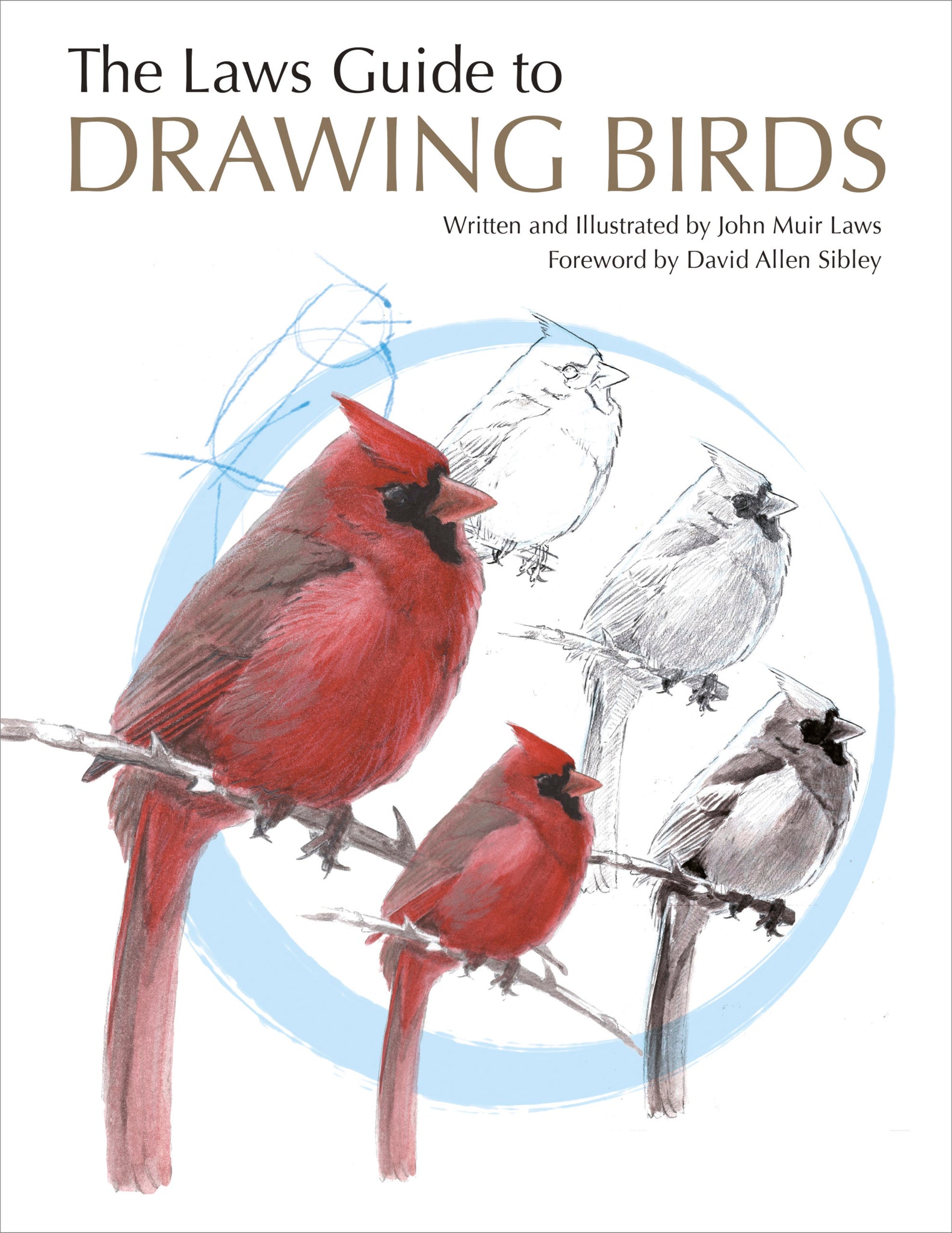 Laws Guide to Drawing Birds