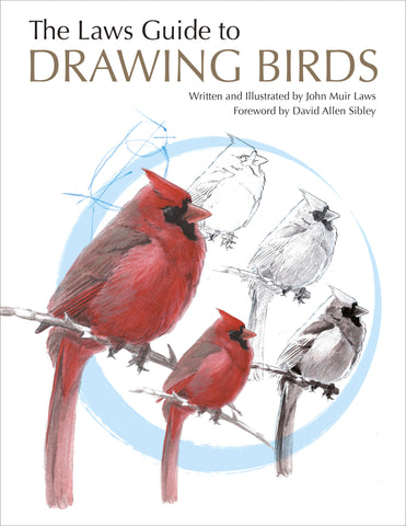 Laws Guide to Drawing Birds