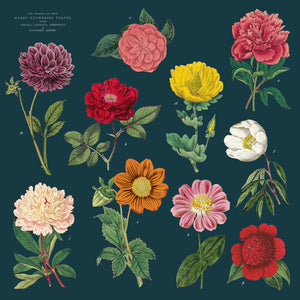 Botanica Napkins - Set of 4