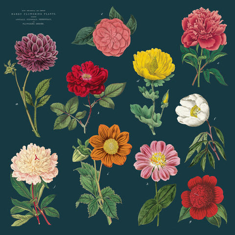 Botanica Napkins - Set of 4