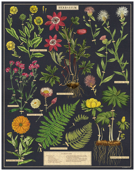 Herbarium Vintage Puzzle