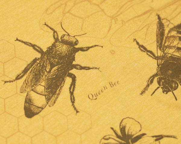 Honey Bee Graphic Tee