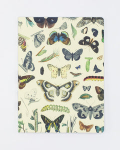 Butterflies Softcover Notebook - Dot Grid