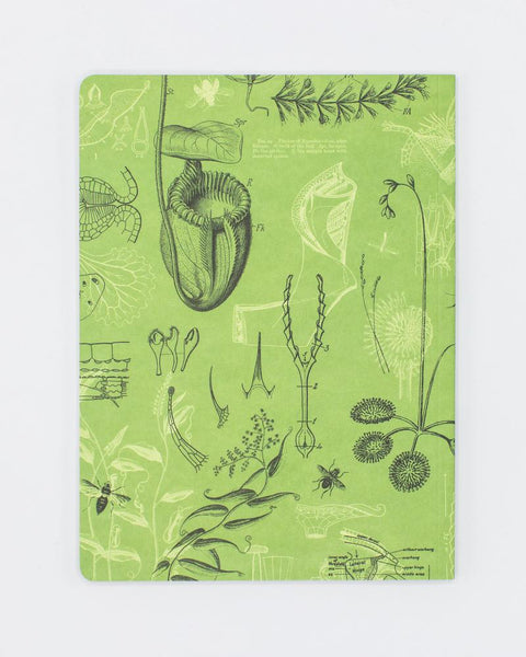 Carnivorous Plants Softcover Notebook - Dot Grid