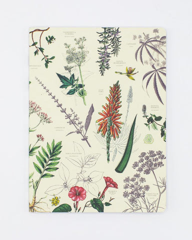Medicinal Botany Softcover Notebook - Dot Grid
