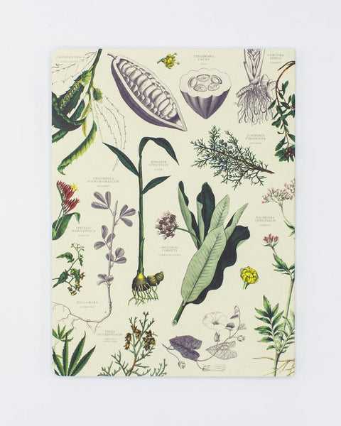 Medicinal Botany Softcover Notebook - Dot Grid