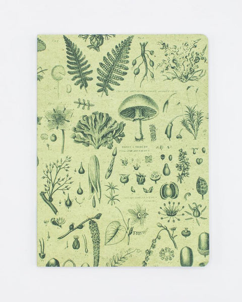 Plants & Fungi Softcover Notebook - Dot Grid