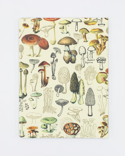 Mushrooms Notebook Softcover - Dot Grid