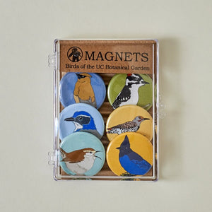 Magnets:  Birds of the UC Botanical Garden