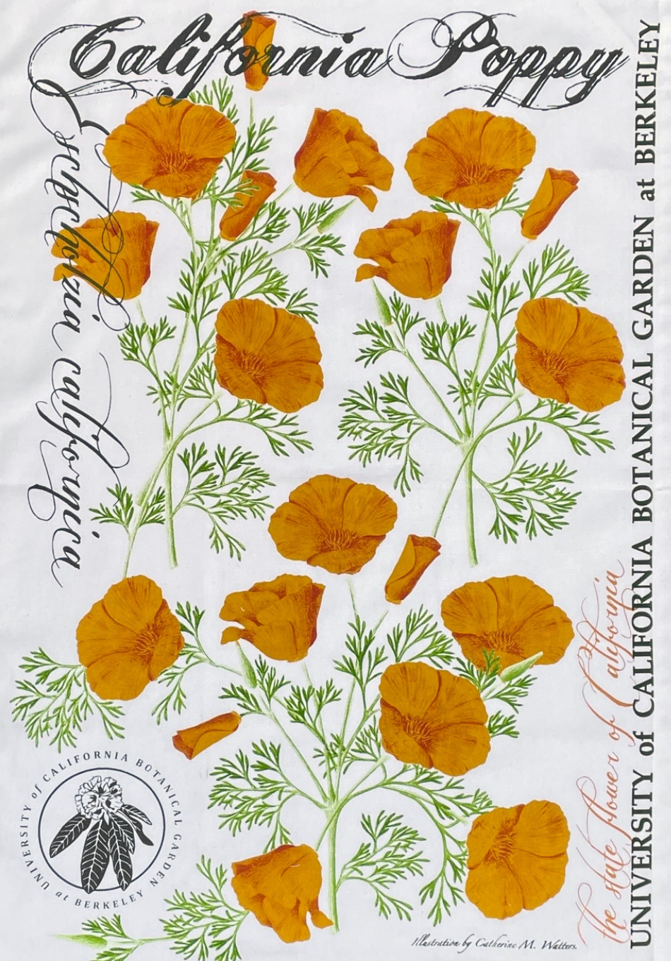 Orange California poppy design kitchen towel