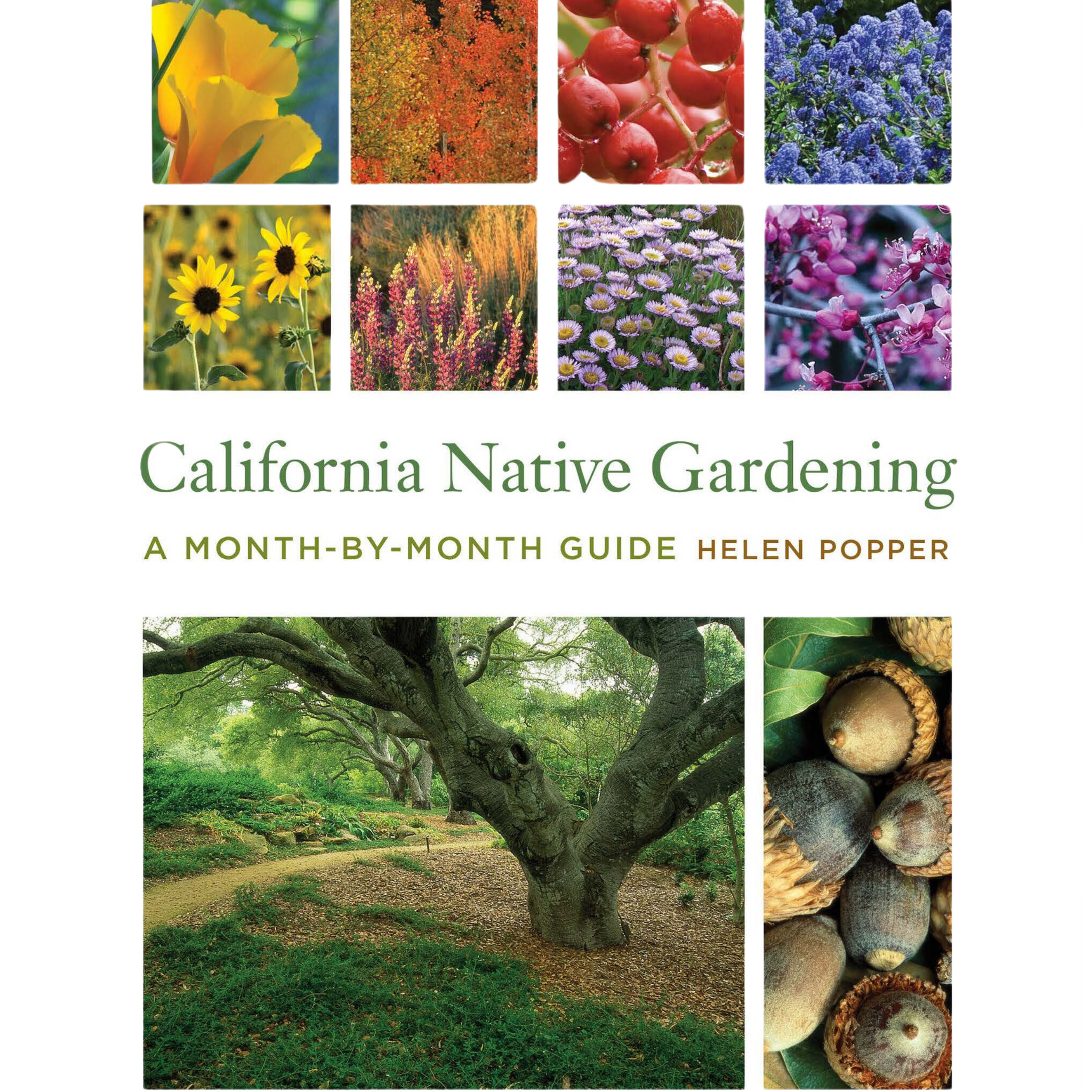 California Native Gardening - A Month-by-Month Guide