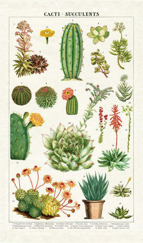 Cacti & Succulents Kitchen Towel