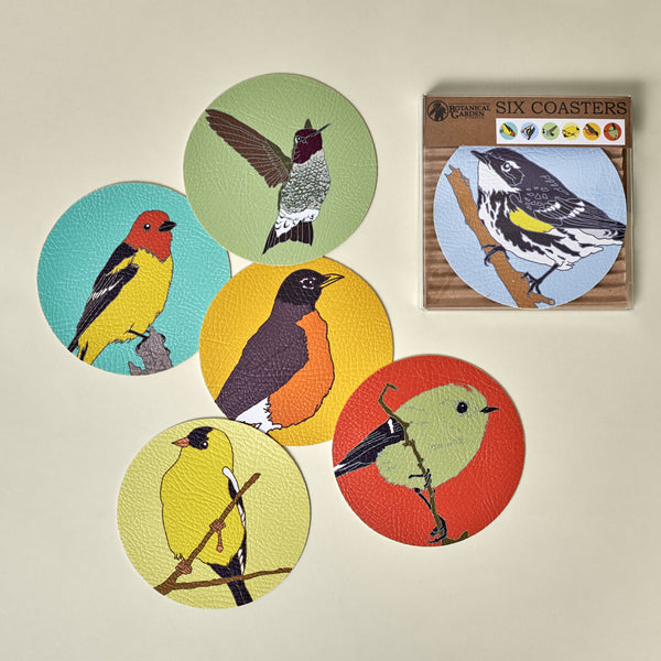Coasters:  Birds of the UC Botanical Garden