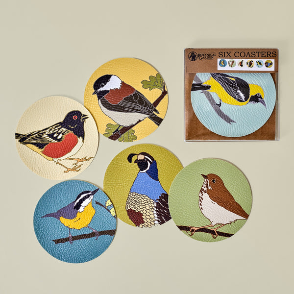 Coasters:  Birds of the UC Botanical Garden