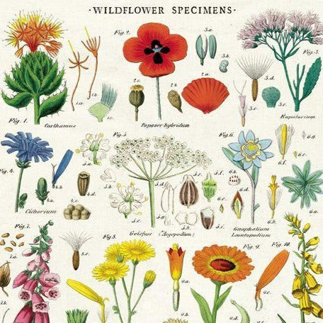 Wildflowers Kitchen Towel